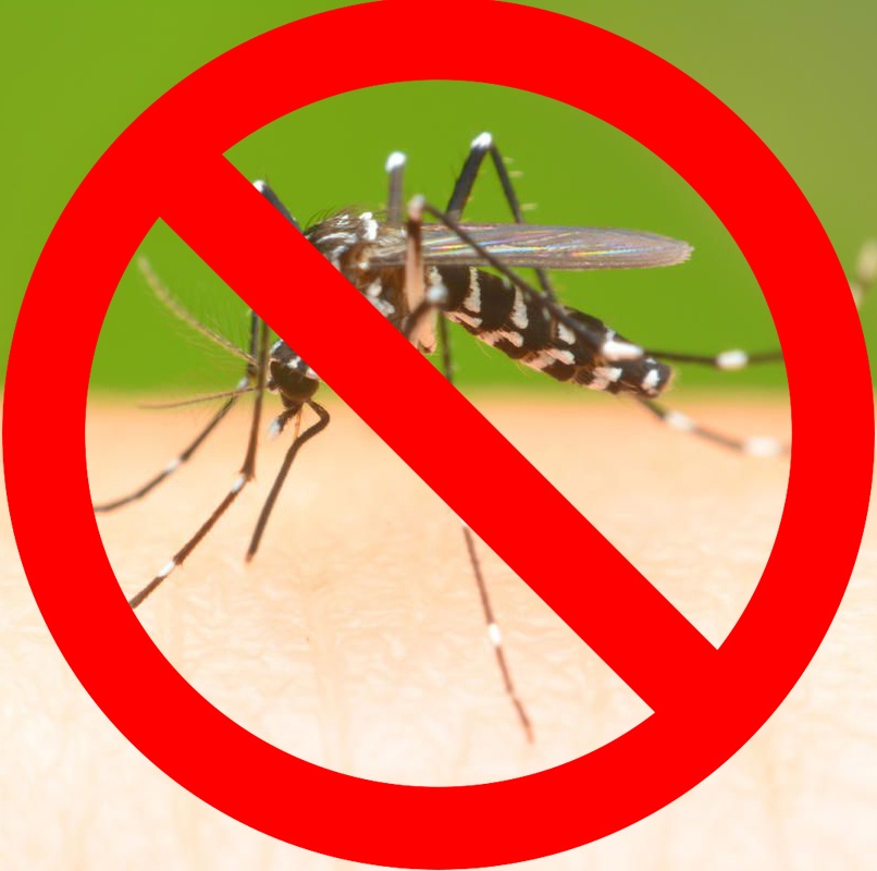 Phun thuốc diệt muỗi để đề phòng sốt xuất huyết